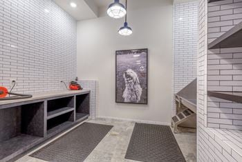 Pet spa